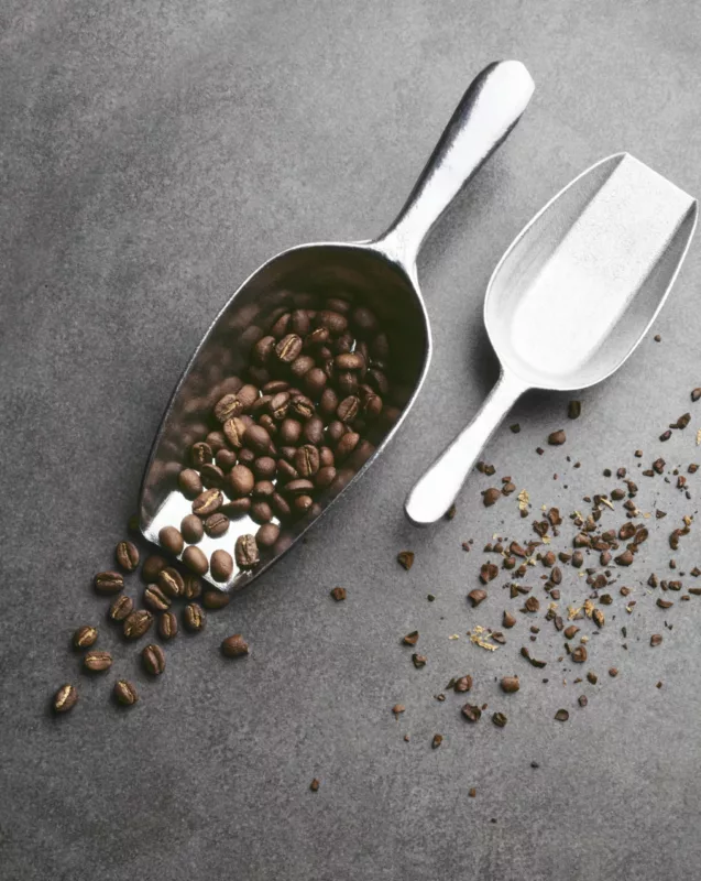 Grains de café torréfiés dans une pelle en inox