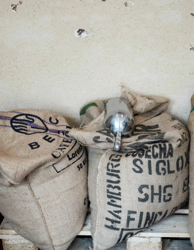 Sacs de café vert en toile de jute à l’atelier, avec une pelle en inox