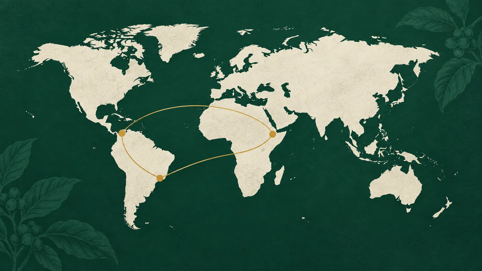 Origines du café : pays producteurs et goût en tasse